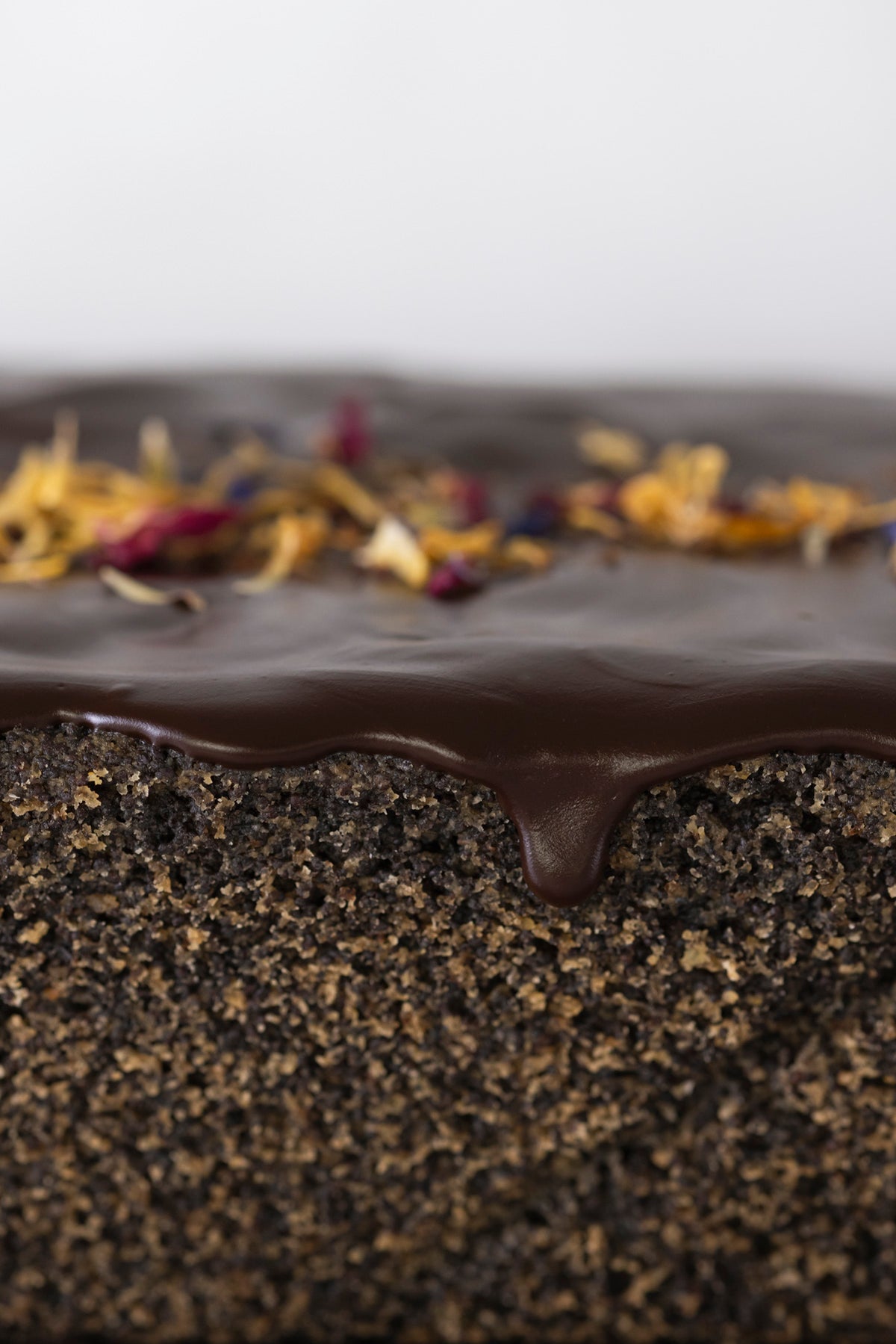 Nahaufnahme veganer, glutenfreier Mohnkuchen mit Schokoladeglasur und Blüten