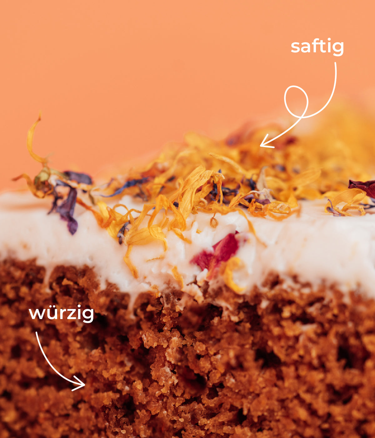 Karottenkuchen Backmischung